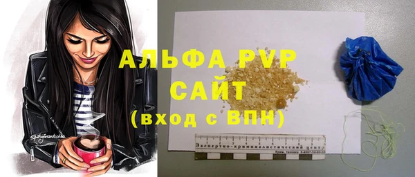 индика Чердынь