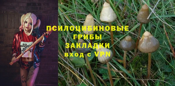 spice Чегем
