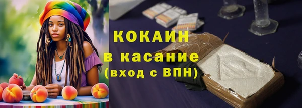 spice Чегем