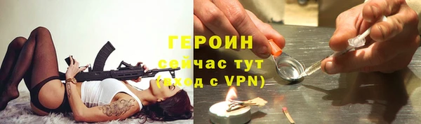 индика Чердынь