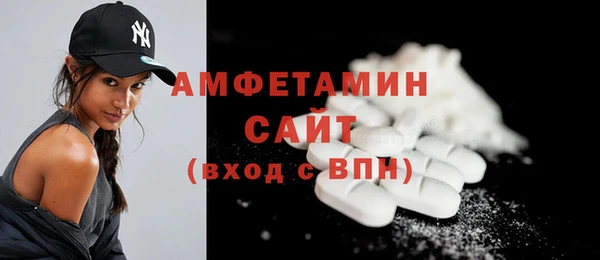 индика Чердынь