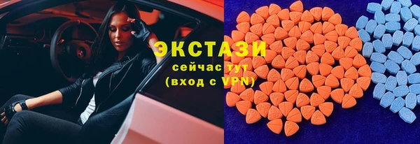 индика Чердынь