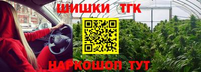 прущие грибы Аргун