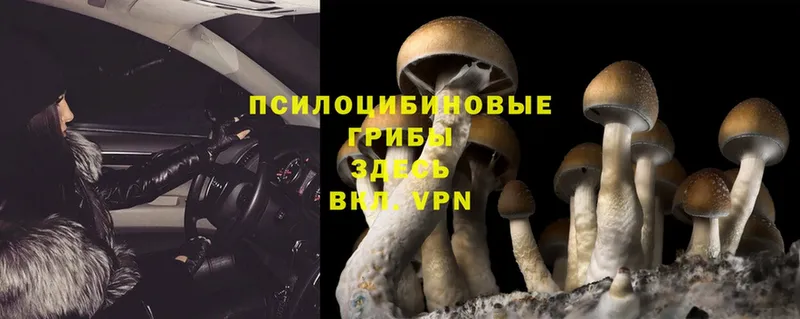 Галлюциногенные грибы Magic Shrooms Челябинск