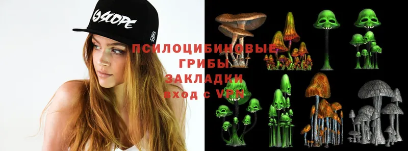 Псилоцибиновые грибы Magic Shrooms  Челябинск 